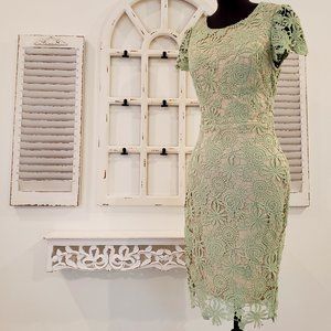 Lace Backless Knee Length Dress Size 6